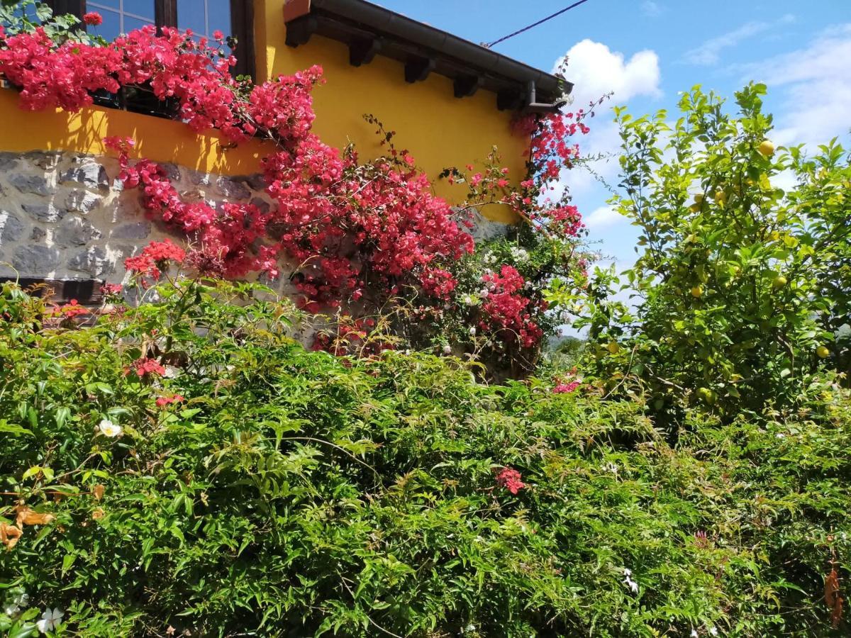 La Casita De Las Flores Villa Monte Miravalles Eksteriør bilde