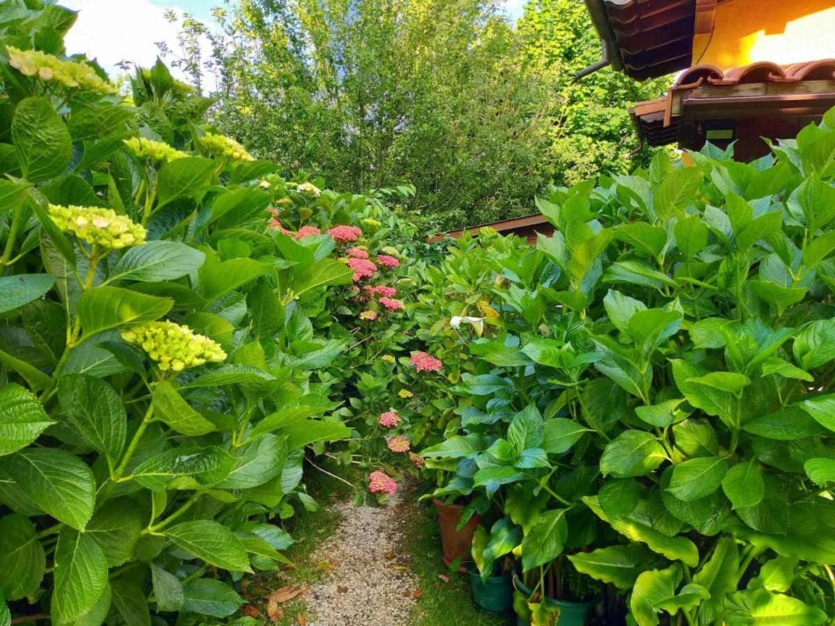 La Casita De Las Flores Villa Monte Miravalles Eksteriør bilde