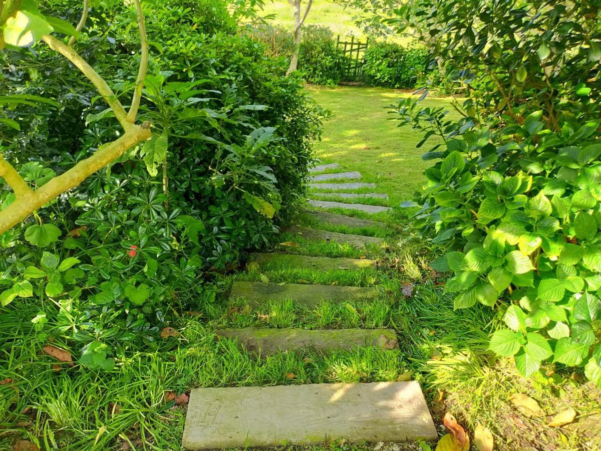 La Casita De Las Flores Villa Monte Miravalles Eksteriør bilde